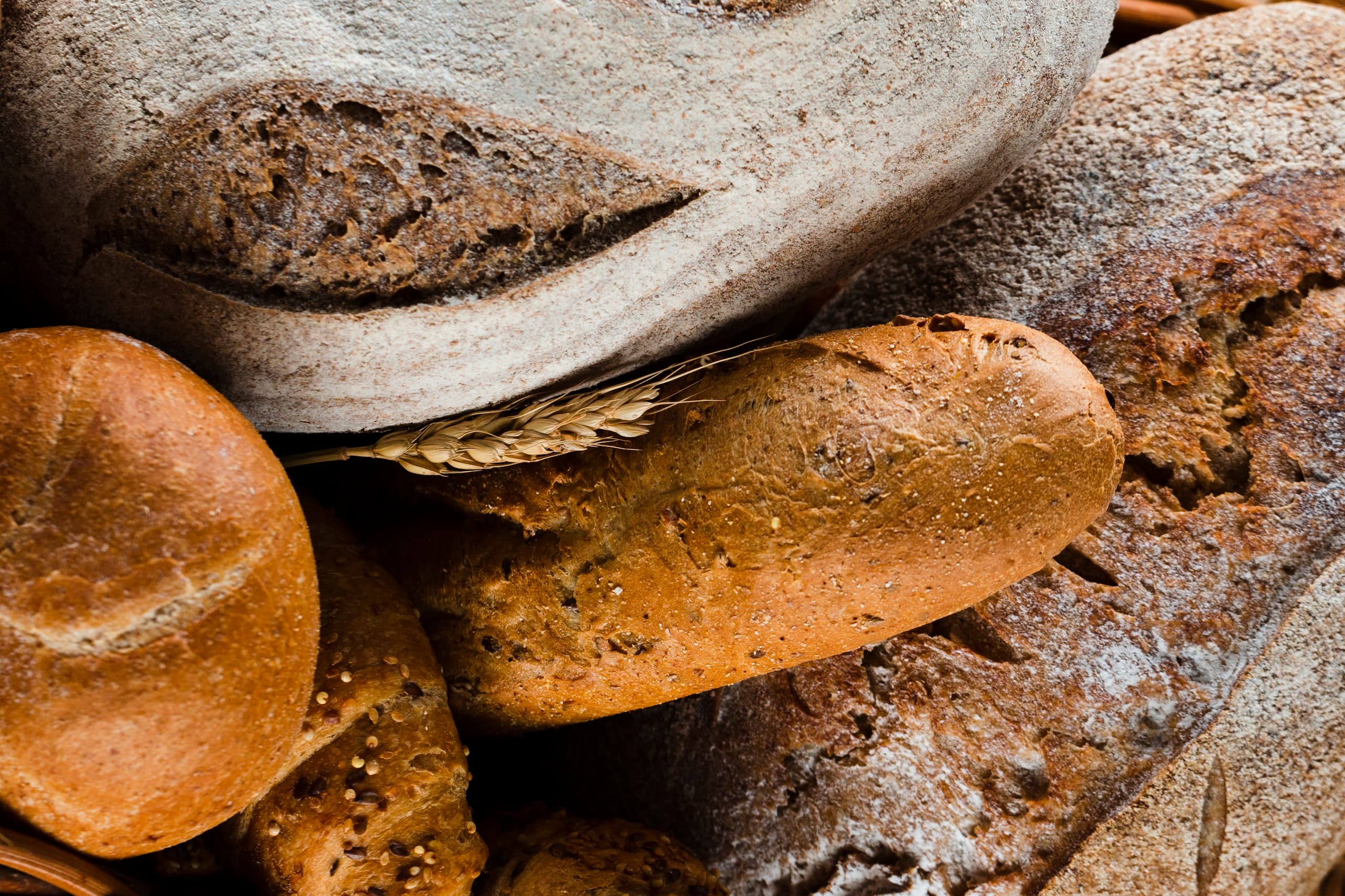 close-up-view-bread-wheat (1)